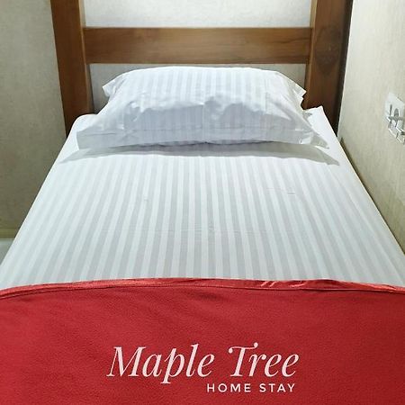 Maple Tree Homestay Maguwo 外观 照片