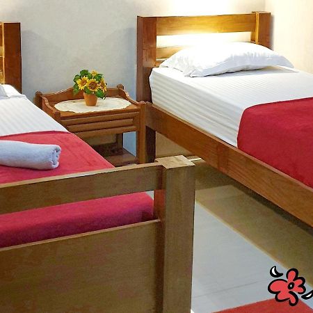 Maple Tree Homestay Maguwo 外观 照片