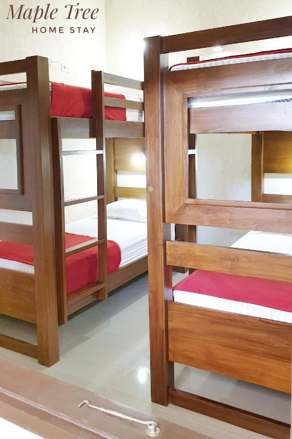 Maple Tree Homestay Maguwo 外观 照片