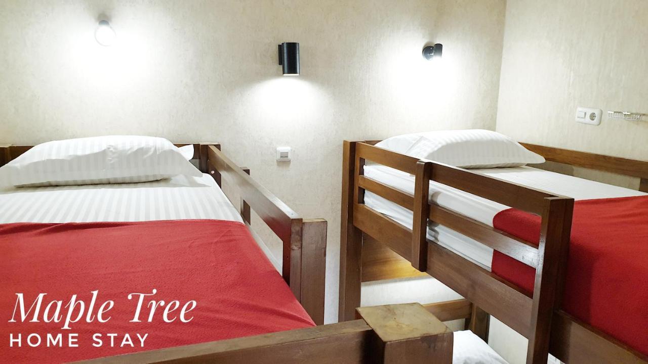 Maple Tree Homestay Maguwo 外观 照片