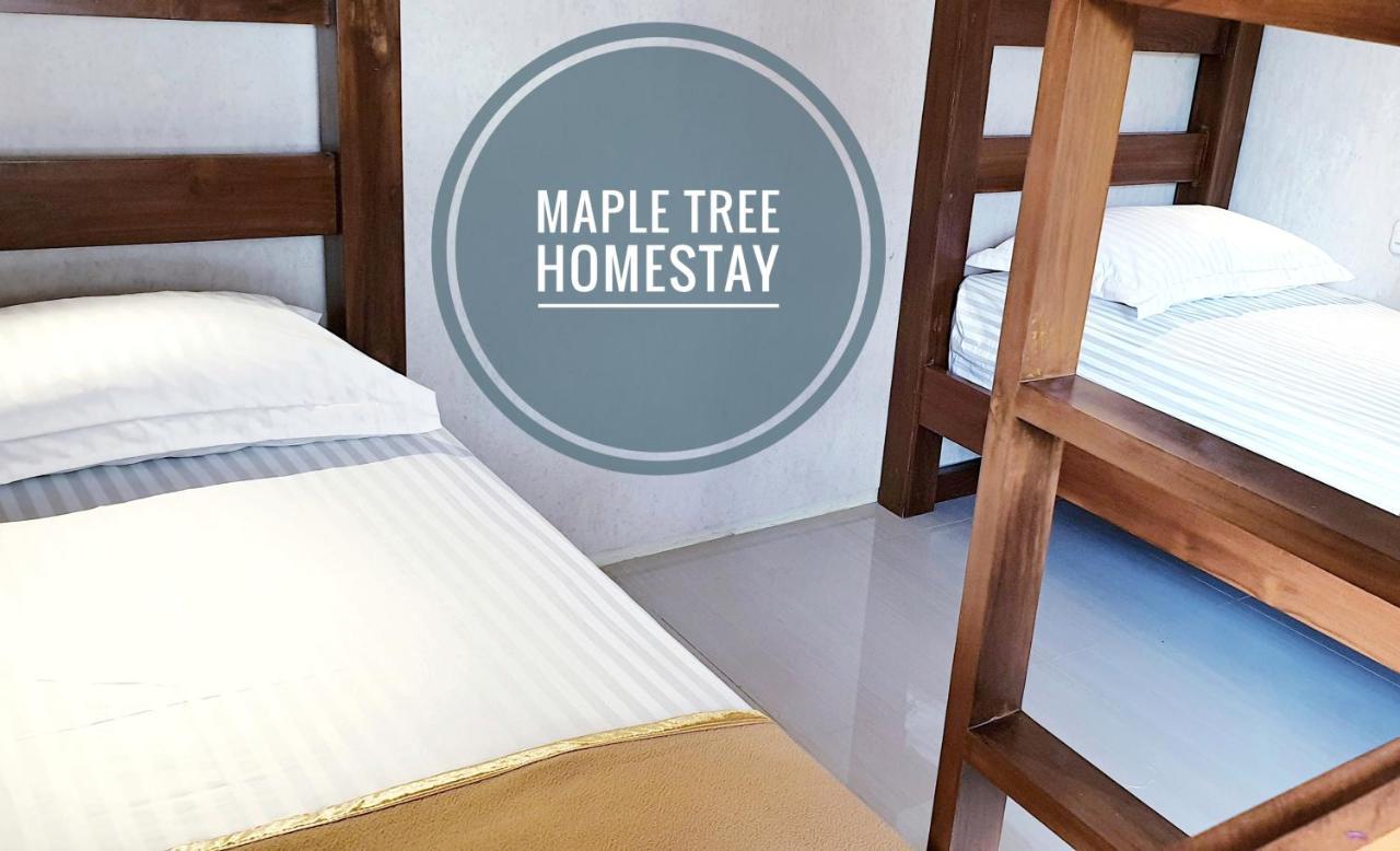 Maple Tree Homestay Maguwo 外观 照片