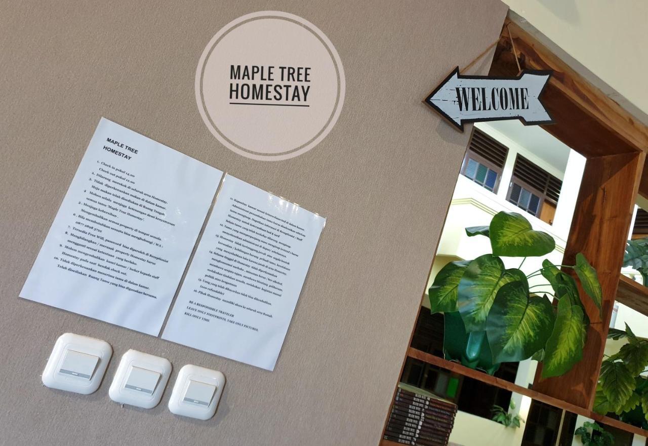 Maple Tree Homestay Maguwo 外观 照片