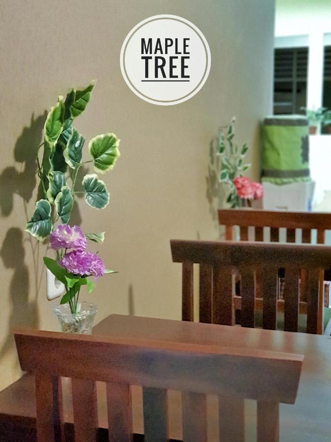 Maple Tree Homestay Maguwo 外观 照片